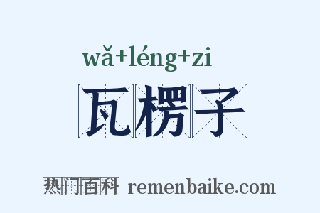 瓦楞子是什么意思的图片